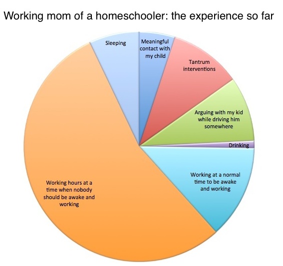 Wall Street Journal Pie Chart