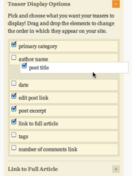 How to use Thesis to customize your teasers by page and category