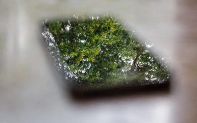 How Social Media Can Sustain Your Friendships (from Oprah.com)