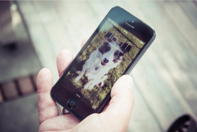 When and how to communicate online