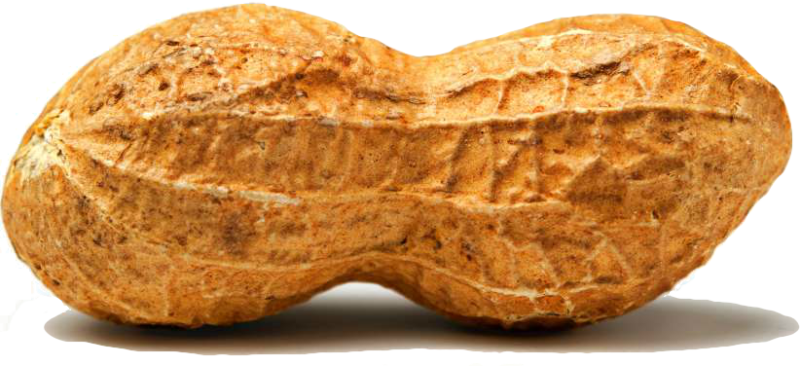 peanut