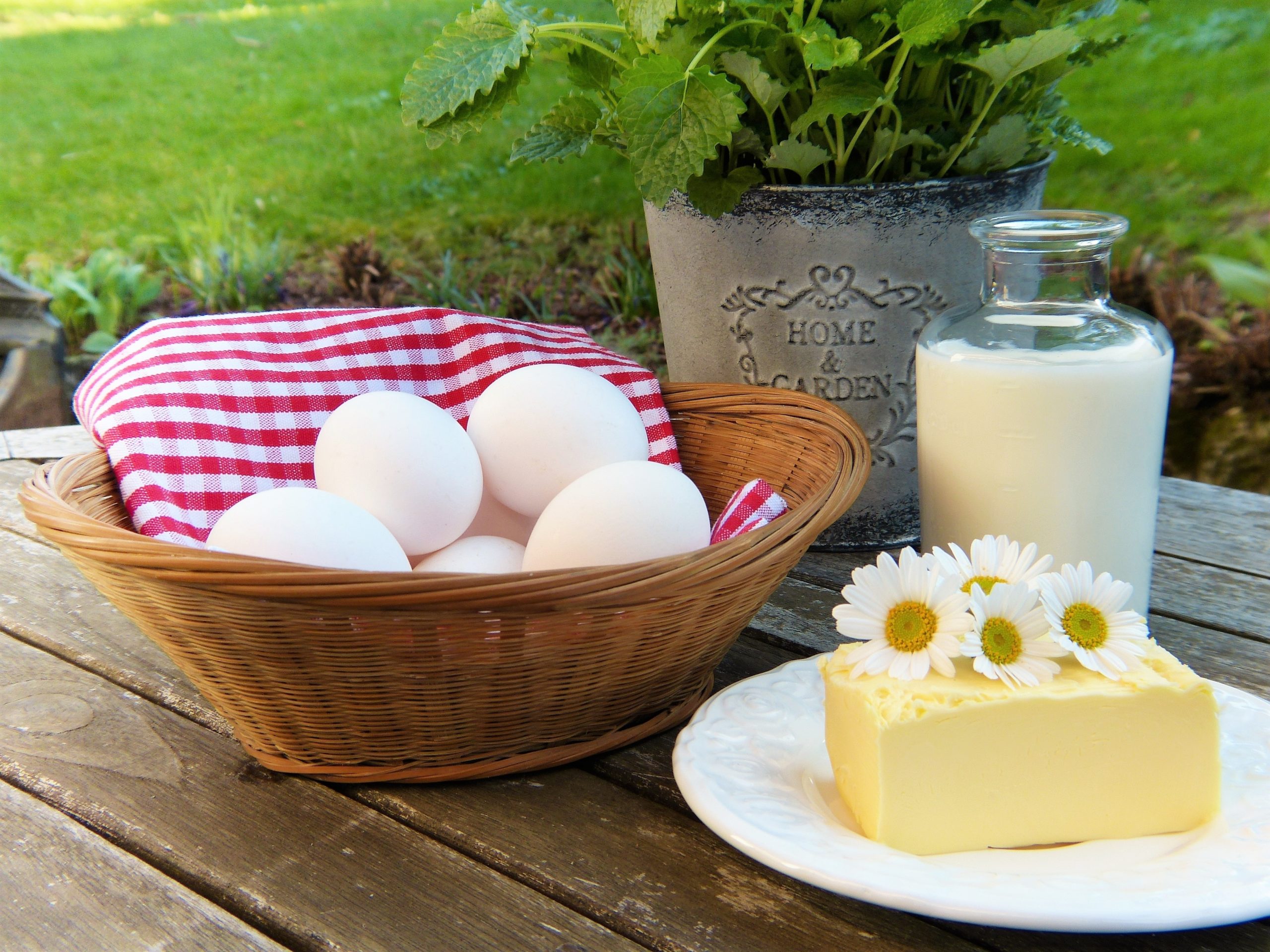 cheese eggs and milk on table